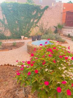 Dar Minel- Deine Wohlfühloase mit Garten und Sonnenterasse - Zaouit Massa - 1