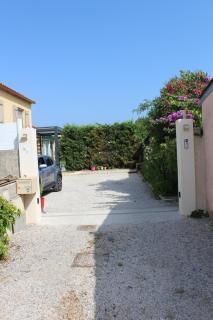 Les 1000 Vignes - Frontignan - 8