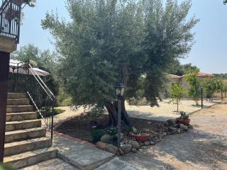 Le Casette di campagna #2 - Campofelice di Roccella - 6