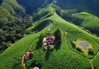 Arivikad Tea Bungalow Munnar By VOYE HOMES - 2
