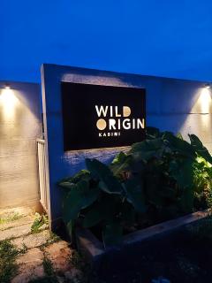 Wild Origin - - 1
