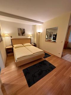 Hotel Viktoria - Cologne - 4