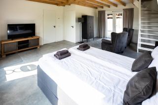 Compleet nieuw vakantiehuis Villa de Berken - 2