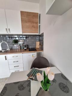 Apartman Jedro Golubac - Golubac - 4
