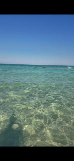 Chraff plage bekalta - 3