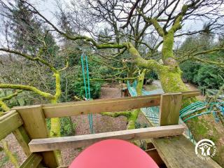 Le nid dans le chêne - 2