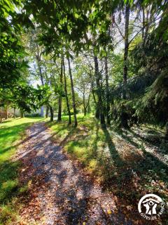 Le nid dans le chêne - 4