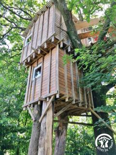 Le nid dans le chêne - 5