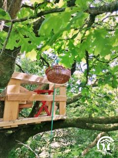 Le nid dans le chêne - 3