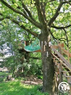 Le nid dans le chêne - 8