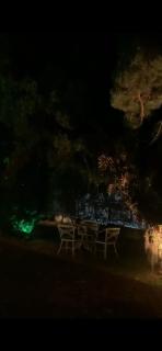 Pet-Friendly, Spacious Family Cottage, with Games Lounge & Near Beach - 7