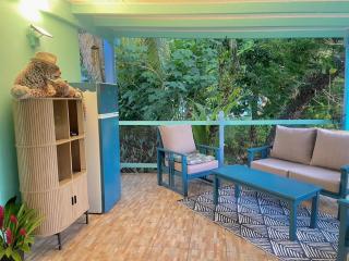 le Gîte XXL Bleu caraibes -  - 3