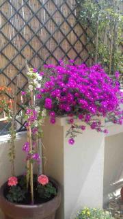 Fabulous Riad Moroccan Modern Fab Terrace Center Agadir - 4