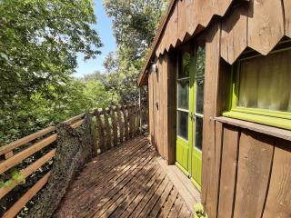 Cabane perchée de Lys dans les chênes verts et le micocoulier - Argelliers - 9