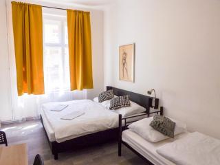 Spacious room E1 in centre of Prague - 2