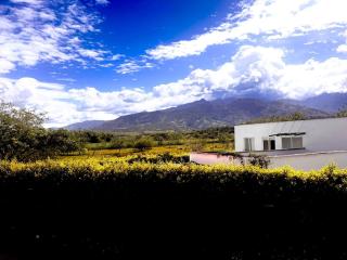 Apartamento en Pance - 5