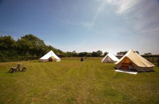 Little Lodge Glamping - Halesworth - 6