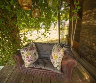 Little Lodge Glamping - 2