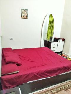 شقه فندقيه بالمنيل - Kairo - 5