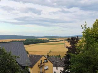 Apartment in Pellingen near Trier & Nature Park - 6