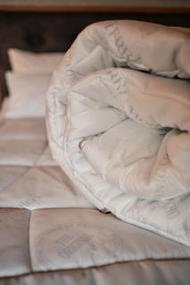 Hotel-Restaurant Minichmayr - Steyr - 8