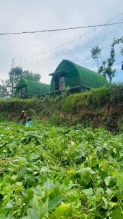 Magica Mount Domes - 4