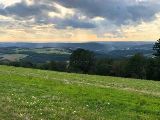 Apartment in Pellingen near Trier & Nature Park - 6
