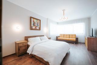 Vila Anisoara - 9
