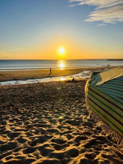 Villa lumineuse, double jardin - 6