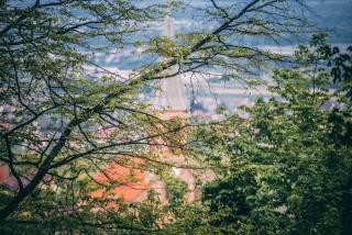 Les Appartements Husseren Collections - Proche Colmar - Eguisheim - 5