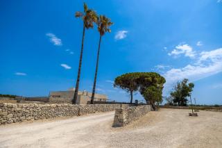 Masseria LOGGIA PUCCI - Torre Chianca - 3