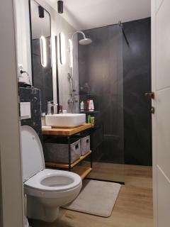 Apartament Ella 2 camere semicentral - 6