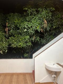 Compacto Men's Dormitory - 1