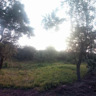 Mastev Campsite Undeveloped - 0