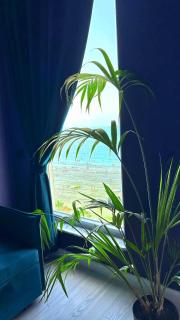 Funky Breeze by the Sea - Durrës - 7