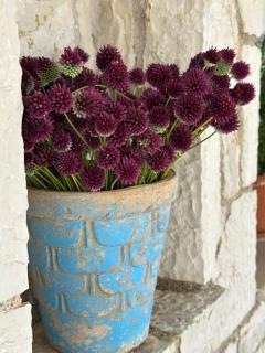 ELÉA Guesthouse himare - 7