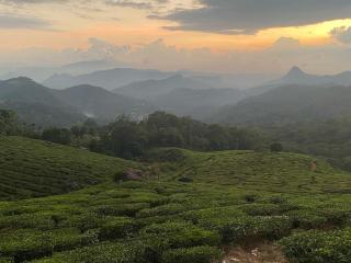 Royal Mist Villa - Munnar - 6