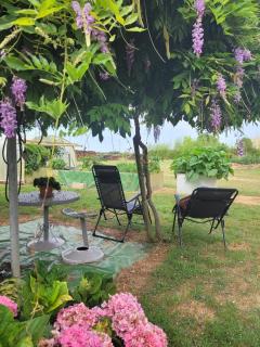 Le gite de Gayssanes - Saint-Arroumex - 2