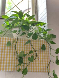 Mạc homestay - nhà số 3 - 5