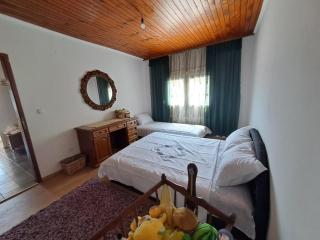 Village house Vukmanovic - 7