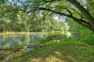Creekside Nature Escape in Southwest Missouri - Neosho - 0