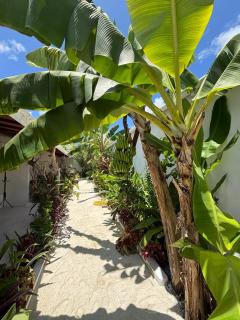 Veli garden thoddoo - 7