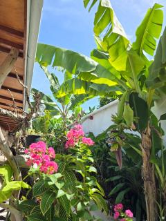 Veli garden thoddoo - 6