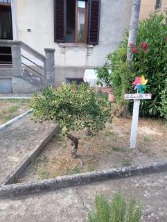 La Casina di Lalu' - Meleto - 8