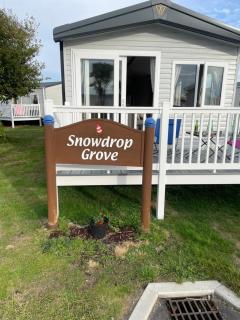 Snowdrop Caravan - 8