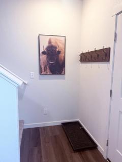 New house with large yard for dogs - 4