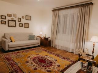 Casa RusTic - Turda - 1