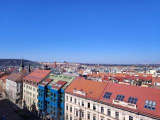 Hotel Legie - 8