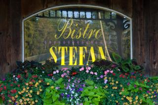 Best Western Fireside Inn - Kingston - 6