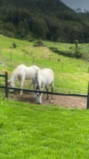 Glamping la Cumbre - 8